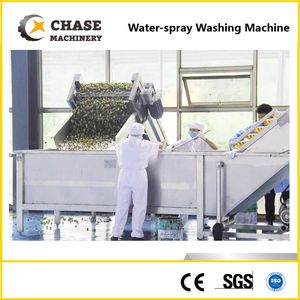 Candied Fruit/Fresh Fruit and Vegetable Processing Machine From Shanghai Chase