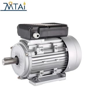 Ce Approved ML/YL High Efficiency Single Phase Electric Motor