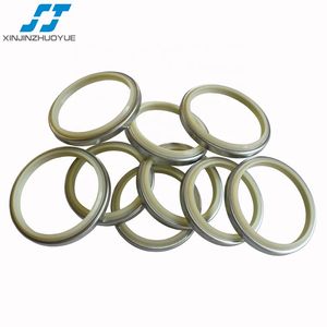 Sj Brand Factory OEM Different Type Rubber Dust Seal Dkbi Hydraulic Wiper Seal Dust Seal Dkb