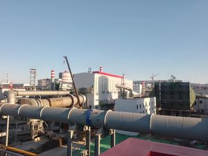 OEM Customized High Strength Low Sulfur Direct Reduced Iron (DRI) Metallurgical Pellets