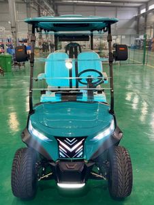 Attractive Efficient Electric Golf Car with Easy to Operate for Golf Clubs