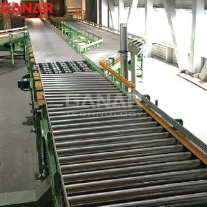 Custom Conveyor Line Manufacturer Supplier Freezer Roller Conveyor