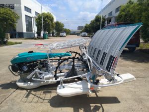 6 Rows Walking Type Hand Rice Transplanter for Sale