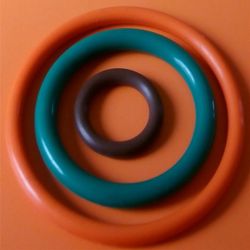 Corrosion Wear Resistant High Temperature Ffkm O Ring