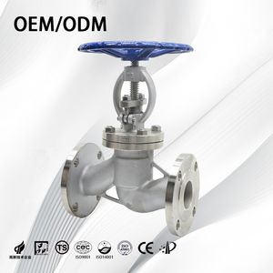 Stainless Steel Customized Rising Stem Vertical Flange Stop Valve for Water