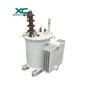 6kv-34.5kv/120V-600V 5kVA-500kVA Power Transformer Single Phase Pole Mounted Distribution Transformer