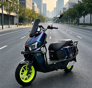 Smart Electric Scooter 2000W GPS 4G Bluetooth CBS Tcs