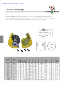 Roller Chain Coupling (Standard America, Standard Europen