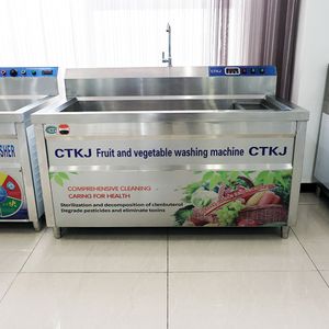 High Capacity Ozone Disinfection Stainless Steel Vegetable Washing Machine|