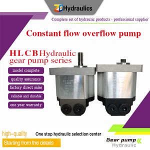Agricultural Machinery Part Constant Flow Pumps Hlcb Constant Flow Pump