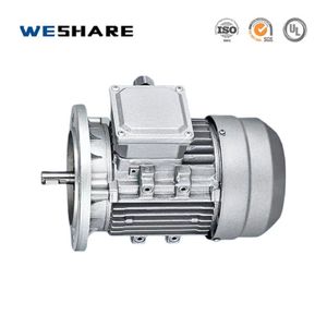 3 Phase Induction Motor with IP55 Protection for Conveyor Equipment