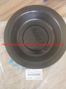 Brh501 Hydraulic Hammer Seal Kit and Diaphrams