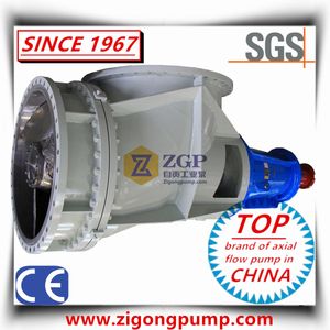 China Horizontal Chemical Duplex Stainless Steel Axial Flow Pump, Forced Circulation Pump, Vertical Propeller Elbow Pump, Mixed Flow Industrial Pump