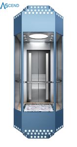 Good View Sightseeing Panorama Elevator with Low Price Lift Passenger Elevator