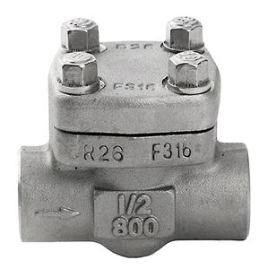 Forged Stainless Steel F316L 800wog Threaded End Swing Check Valves