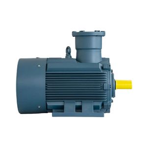 Explosion Proof Three-Phase Asynchronous Motor AC Induction Electric Motor