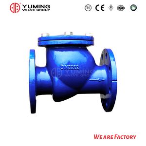 DIN Ductile Iron G50 Flanged RF End Check Valve