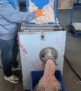 Fully Automatic Industrial Frozen Meat Grinder Fresh Meat Mincer Beef Crusher Mixing Machine with Factory Price