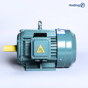 Ie3 Three-Phase AC Motor 45 Kw 2970 Rpm 225m Electric Motor 45 Kw