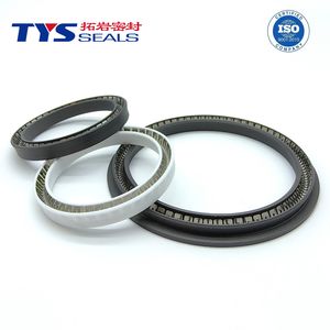 Variseal for The Pharmaceutical and Chemical Industries PTFE Spring Energized Seal