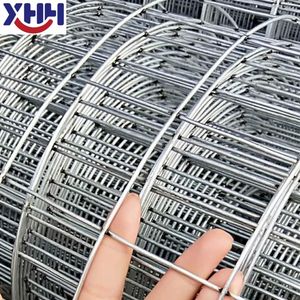 High Quality PVC/ Galvanized Welded Wire Mesh Roll USD in Monkey Mesh