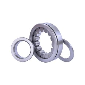 Bdl Single Row Cylindrical Cross Roller Bearing N203