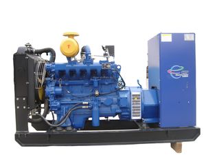 Hot Selling Industrial Gas Generator Professional Supplier with High Efficiency Gas Generator