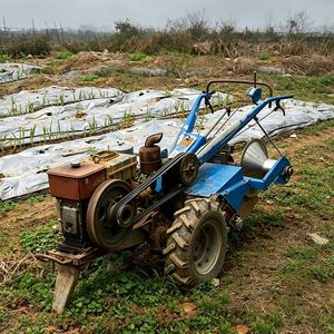 Compact Walking Tractor Ideal for Small Farms and Gardens