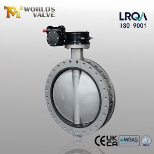 Center Line Stainless Steel U Section/Type Short Pattern Double Flange Butterfly Valve
