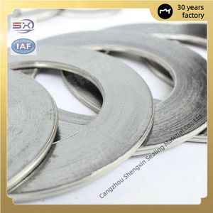ASME/JIS/DIN Standard Mechanical Seal Gasket Flange Pipe Seal Gasket Metal Graphite Spiral Gasket