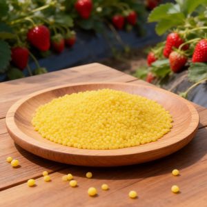 Factory Price Agricultural Nitrogen Fertilizer Ammonium Nitrate Base China Manufacturer