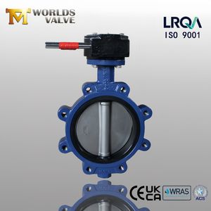 ANSI/DIN/JIS Worm Gear Cast Iron Ductile Iron Di Stainless Steel Lug Butterfly Valve