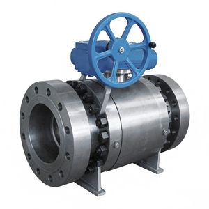 Forged Steel Trunnion Mounted Ball Valve 6D