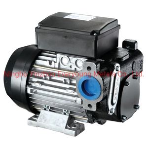 Panther 56 220V-240V Fuel Transfer Self Priming AC Diesel Vane Pump with CE