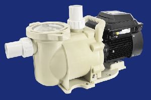 Versatile Model Pump Applicable in Agricultural Irrigation and Landscape Fountain Systems