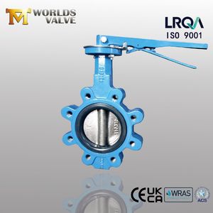 2205 2507 Duplex Stainless Steel Lug Industrial Butterfly Valve (D7L1X-10/16)