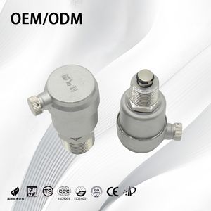 Premium Stainless Steel Air Release Chemical Air Vent Valve for Solar Water Systems