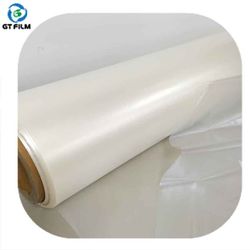 100% Biodegradable Plastic Packaging PLA Film Roll