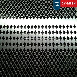 Stainless Steel Perforated Metal Sheet/Decorative Mesh