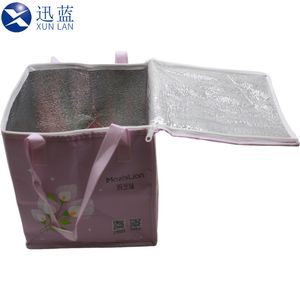 Large Capacity Expandable Bicycle Oil-Proof Ice Drink Customize Size Cooler Insulation Bag