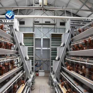 China Factory Manufacture Hot Sale Pullets Chicken Cage