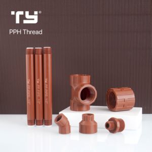 Pph/PP BS Thread Water Supply Pipe /Tube Fitting with Iram 13478 Standard