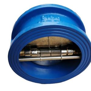 ANSI Micro Resistance Slow Closing Butterfly Check Valve Hh49X-10 Hh49X-16 Hh49X-25 Cast Iron Body Check Valve
