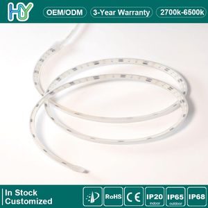 Direct AC LED Strip 110V/220V SMD2835 High Voltage LED Strip Light Plug and Play for Indoor Outline, Cove, and Outdoor Decoration Lighting