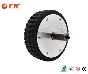 24V Brushless DC Hub Motor Wheel Hub Motor for Electric Agv/Cleaning Robot