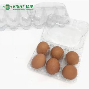 Hot Sale 12 Plastic Transparent Egg Tray for Chicken Eggs