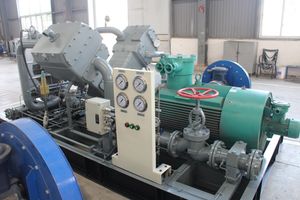 Robust Oil-Free Compressor for Reliable Mixed Gas Applications