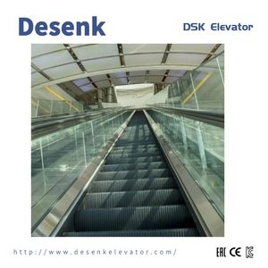 China Escalator Factory with Vvvf Passenger Escalator Indoor Type Escalator