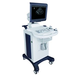 Electric Gynecology Diagnosis Scanner Mobile Trolley Metal Ultrasound Machine for Pregnant Women Hospital Equipment Medical Equipment