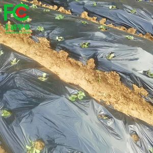 Biodegradable Mulch Film for Agricultural Plantation
